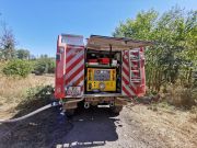 Waldbrand Schwarzes Holz